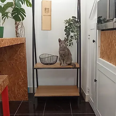 Kanela B-side Machico (Madeira)