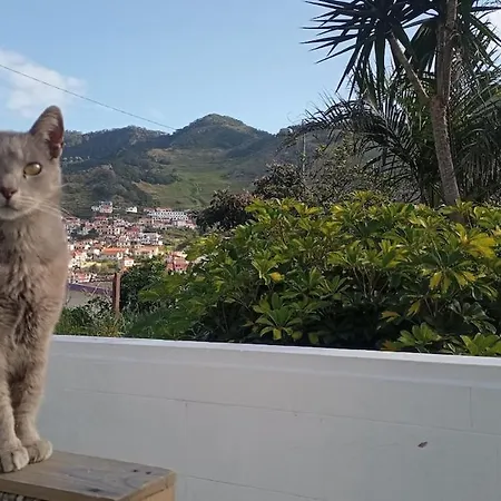 Kanela B-side * Machico (Madeira)