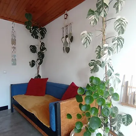 Kanela B-side Machico (Madeira)