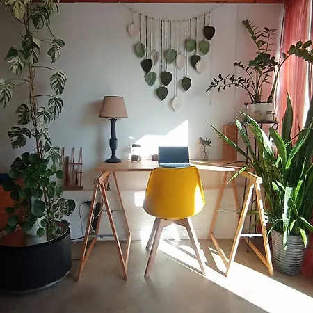 Kanela B-side Machico (Madeira)