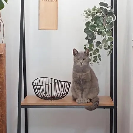 Kanela B-side * Machico (Madeira)