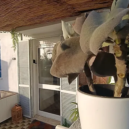 Apartamento Kanela B-side