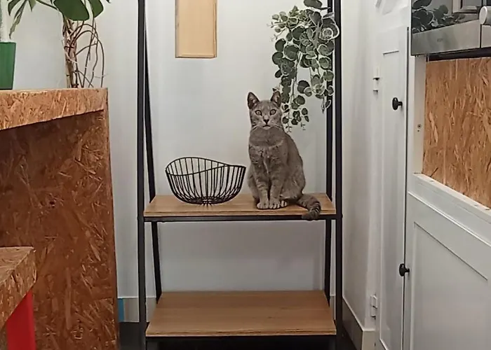 Kanela B-side Machico (Madeira)