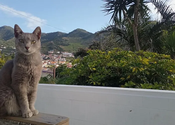 Kanela B-side * Machico (Madeira)