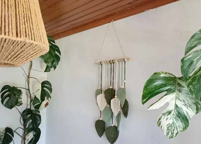 Kanela B-side Lägenhet