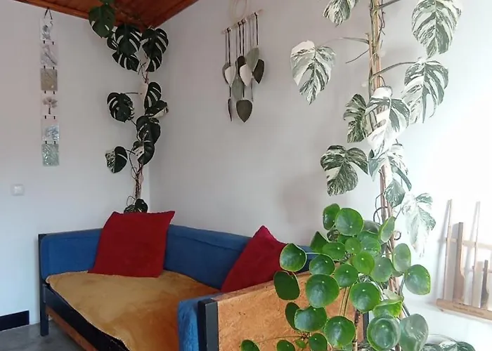 Kanela B-side Machico (Madeira)