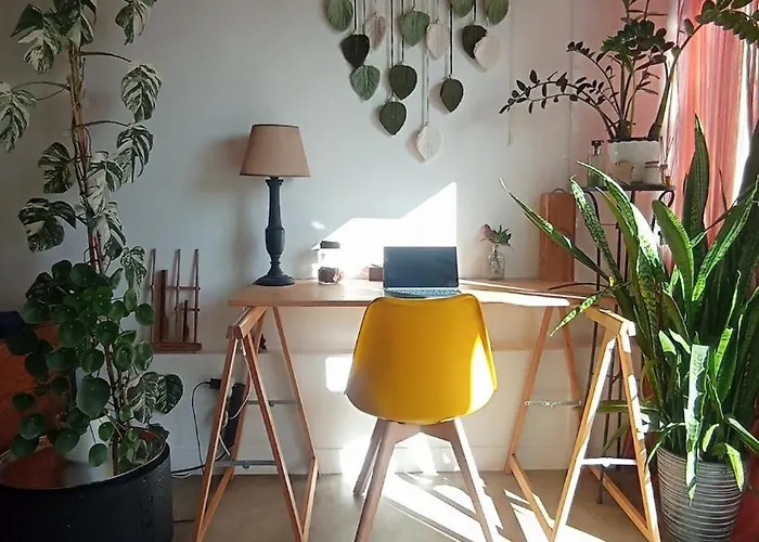 Kanela B-side Machico (Madeira)