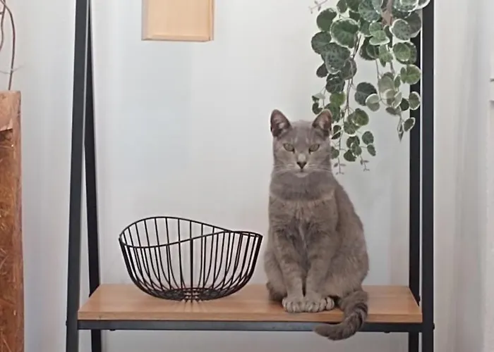 Kanela B-side * Machico (Madeira)