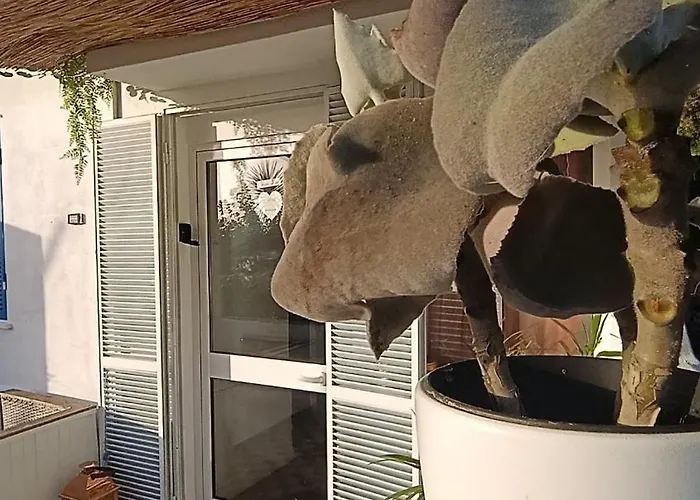 Apartament Kanela B-side