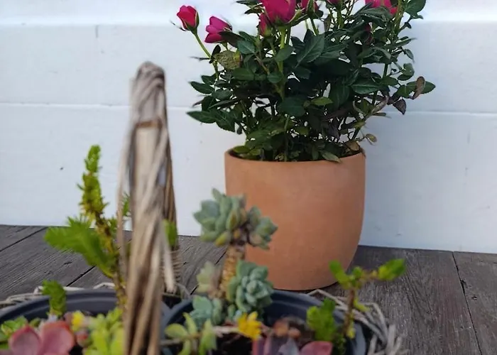 Lägenhet Kanela B-side