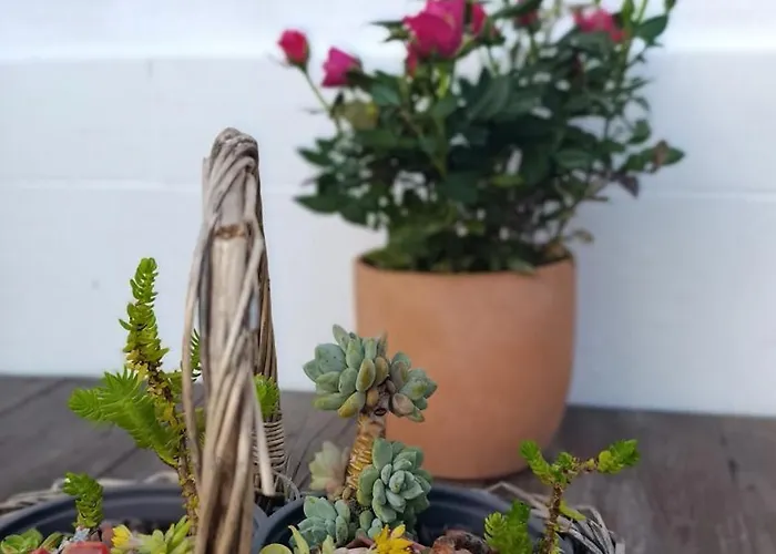 Kanela B-side Lägenhet *